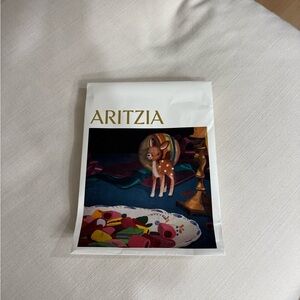 Aritzia small gift bag